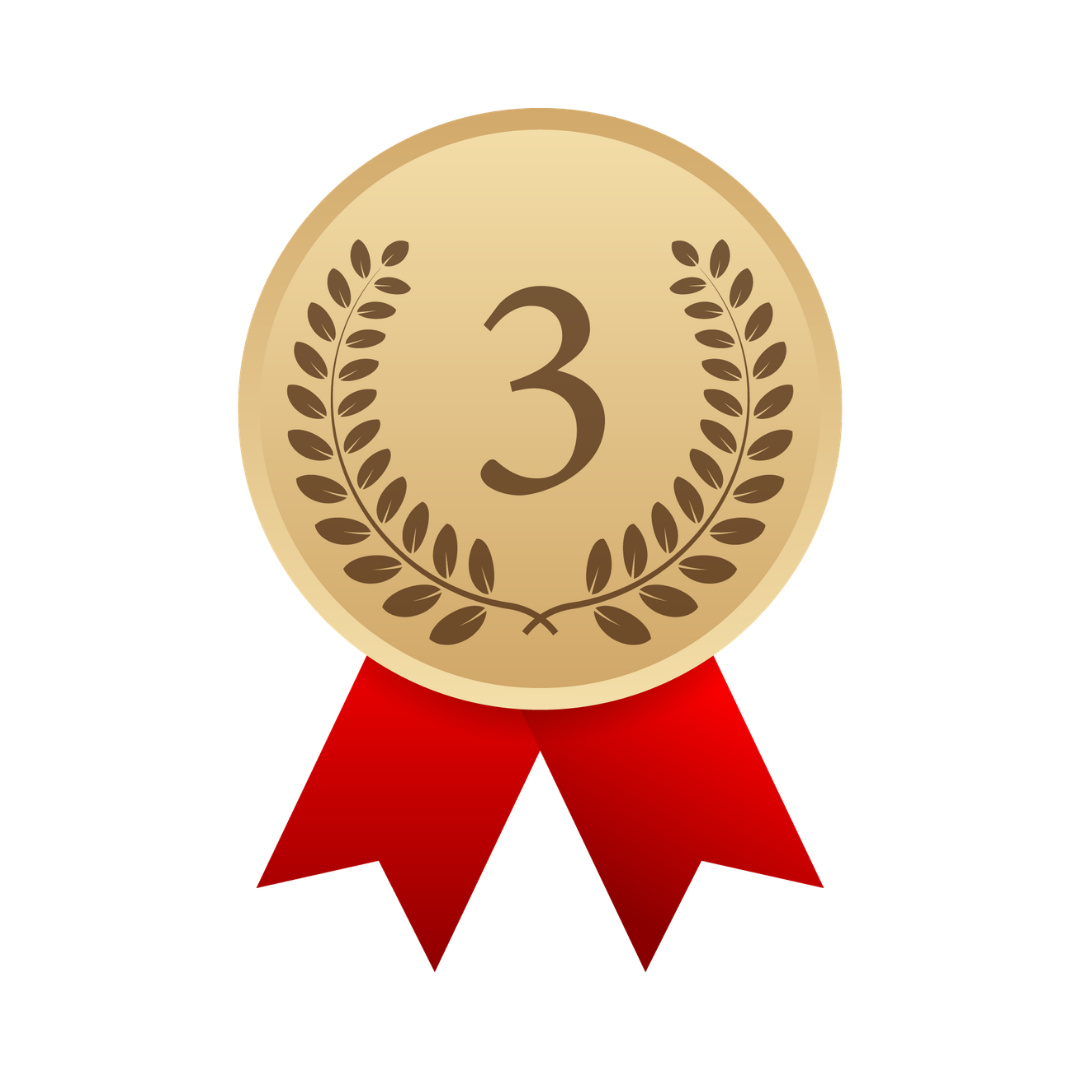 Bronze Subscription